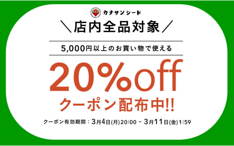 店内全品対象 5,000円以上のお買い物で使える20%offクーポン配布中!!